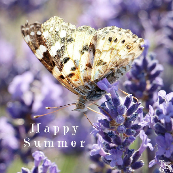 Have a Lavender Happy Summer from TLG