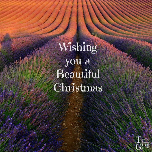 Wishing You a Beautiful Christmas