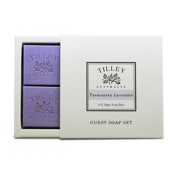 Tilley at Tasmanian Lavender Gifts