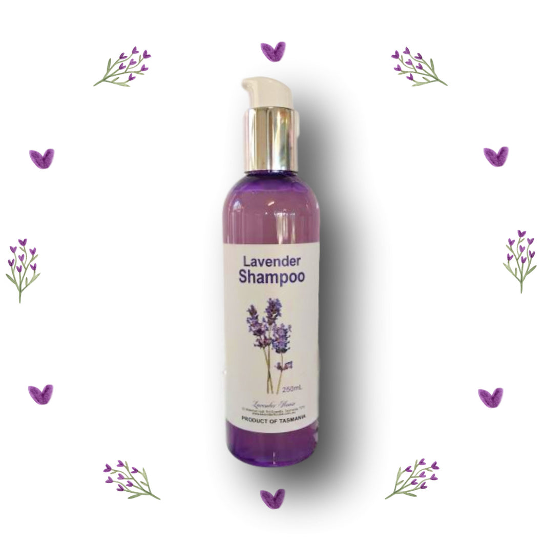 Lavender Everyday Hair Shampoo - Tasmanian Lavender Gifts